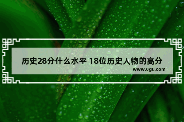 历史28分什么水平 18位历史人物的高分评价