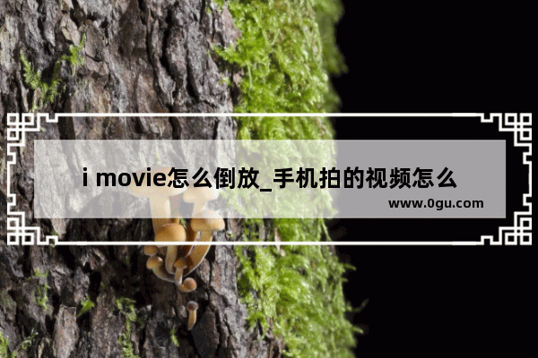 i movie怎么倒放_手机拍的视频怎么才能倒放