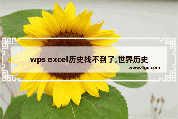 wps excel历史找不到了,世界历史表格简易图