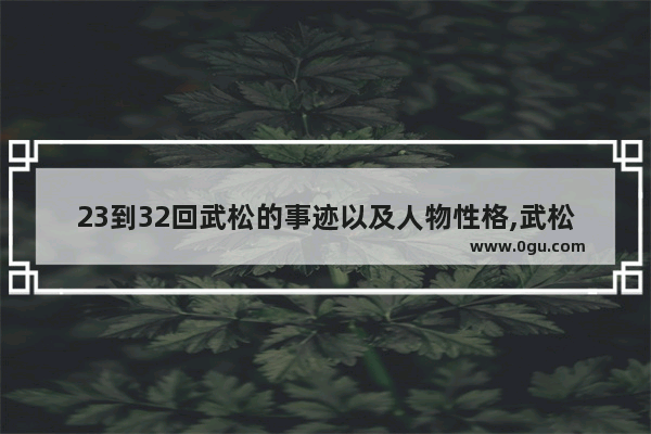 23到32回武松的事迹以及人物性格,武松的历史人物形象概括