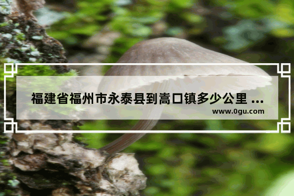 福建省福州市永泰县到嵩口镇多少公里 永泰县习俗