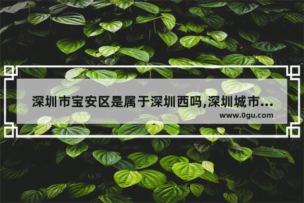 深圳市宝安区是属于深圳西吗,深圳城市历史文化遗产介绍