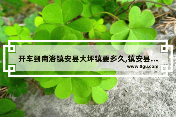 开车到商洛镇安县大坪镇要多久,镇安县大坪镇历史人物