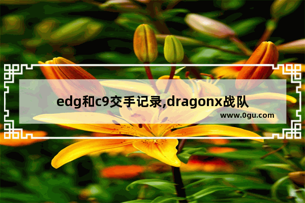 edg和c9交手记录,dragonx战队队员