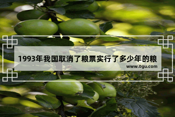 1993年我国取消了粮票实行了多少年的粮食统购统_粮站哪年取消的