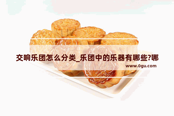 交响乐团怎么分类_乐团中的乐器有哪些?哪些适合独奏