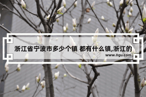 浙江省宁波市多少个镇 都有什么镇,浙江的历史文化名镇名录