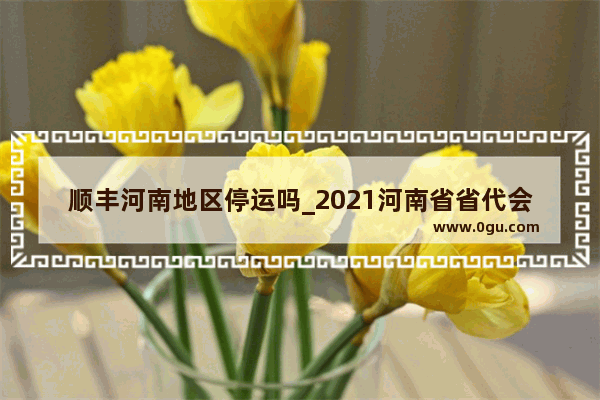 顺丰河南地区停运吗_2021河南省省代会召开时间