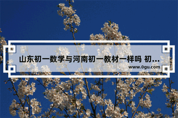 山东初一数学与河南初一教材一样吗 初中中外数学历史文化差异