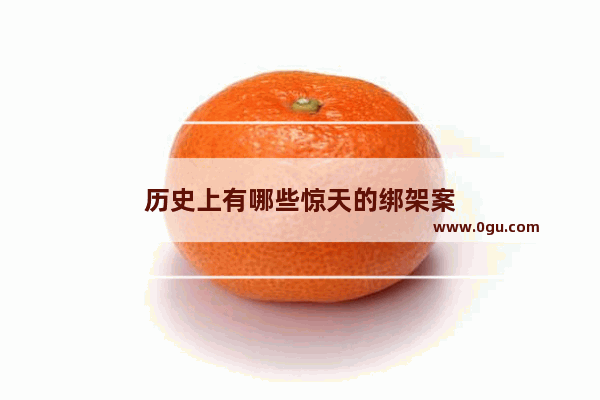 历史上有哪些惊天的绑架案