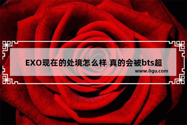 EXO现在的处境怎么样 真的会被bts超过吗