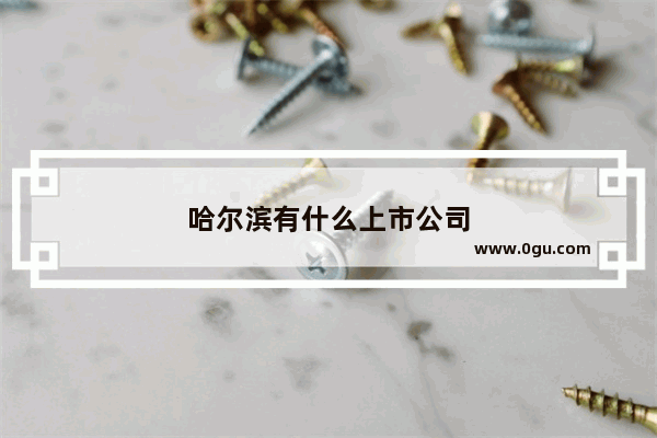 哈尔滨有什么上市公司