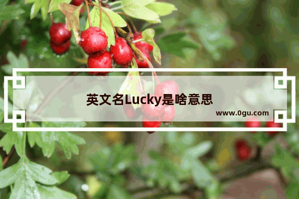 英文名Lucky是啥意思