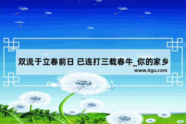 双流于立春前日 已连打三载春牛_你的家乡在立春前日都有什么样的祭祀、庆祝活动呢