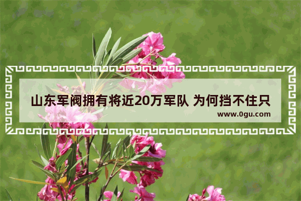 山东军阀拥有将近20万军队 为何挡不住只有10万北伐军