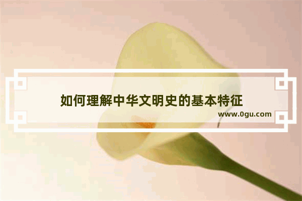 如何理解中华文明史的基本特征