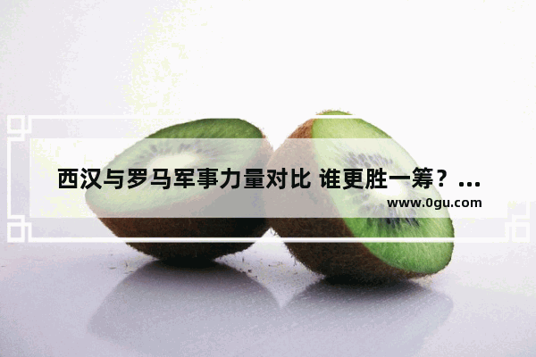 西汉与罗马军事力量对比 谁更胜一筹？同一时期是否就这两个文明最为繁盛