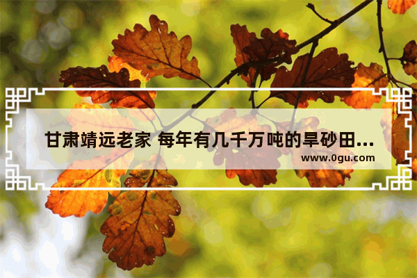 甘肃靖远老家 每年有几千万吨的旱砂田西瓜成熟 我该怎么帮助家乡人民销售