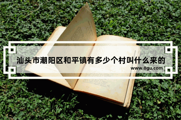 汕头市潮阳区和平镇有多少个村叫什么来的