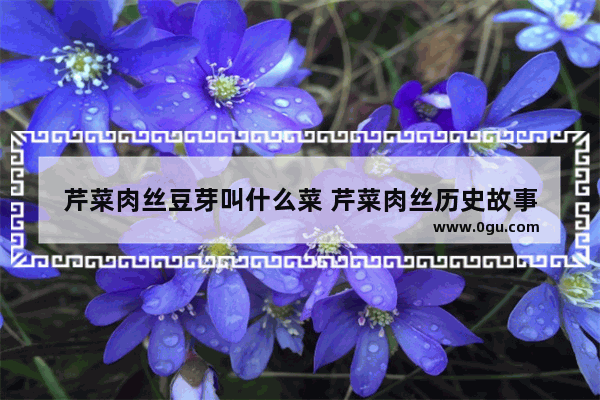 芹菜肉丝豆芽叫什么菜 芹菜肉丝历史故事