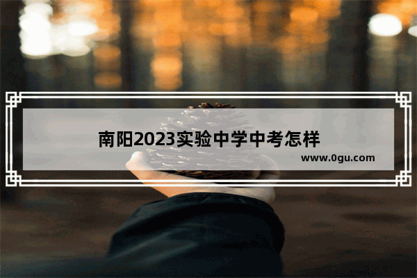 南阳2023实验中学中考怎样