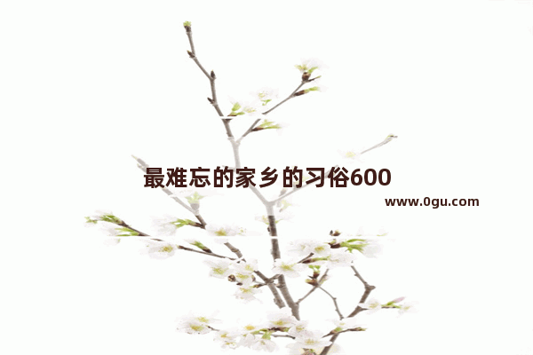 最难忘的家乡的习俗600