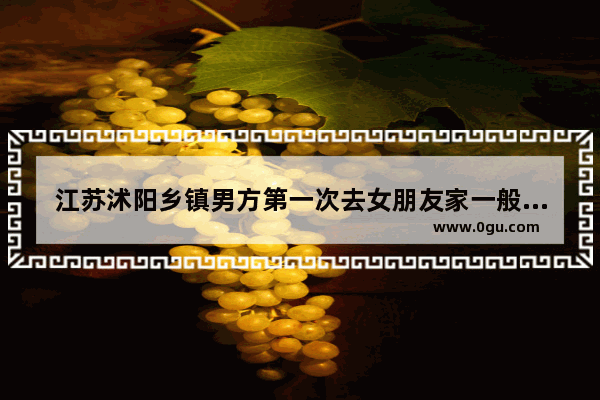 江苏沭阳乡镇男方第一次去女朋友家一般都带些什么东西去 沭阳县习俗