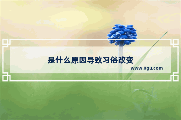 是什么原因导致习俗改变