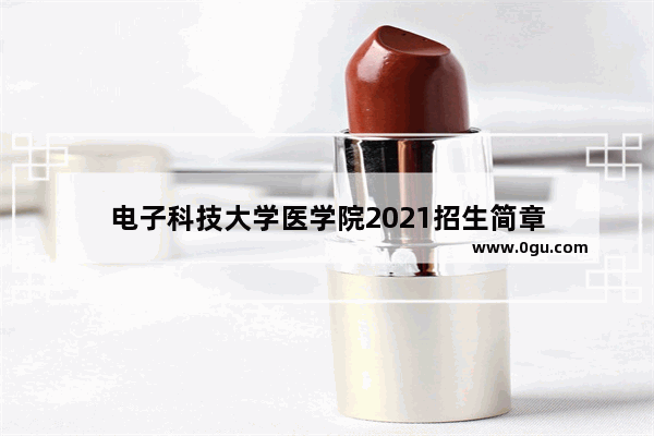 电子科技大学医学院2021招生简章