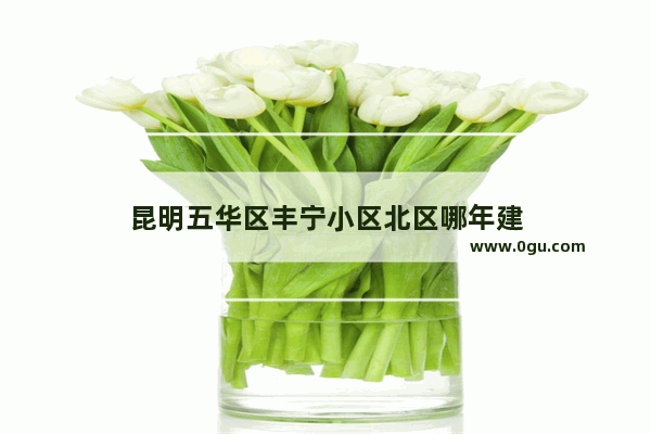 昆明五华区丰宁小区北区哪年建