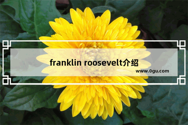 franklin roosevelt介绍