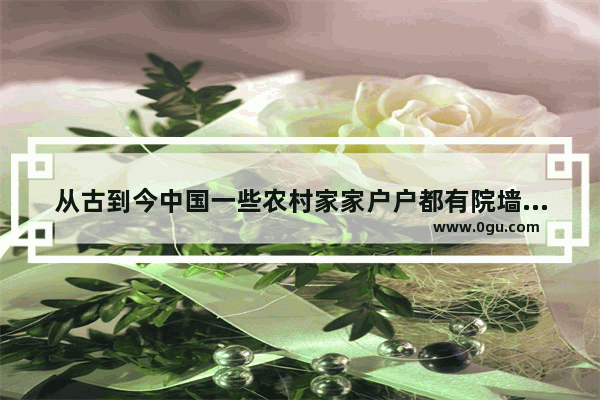 从古到今中国一些农村家家户户都有院墙 城里也建城墙 为什么