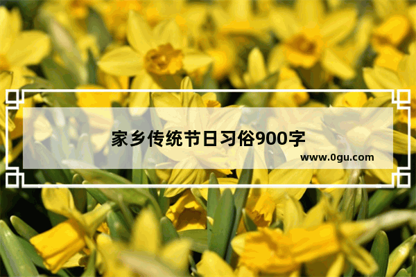 家乡传统节日习俗900字