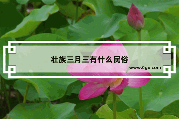 壮族三月三有什么民俗