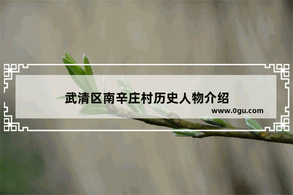 武清区南辛庄村历史人物介绍