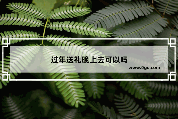 过年送礼晚上去可以吗