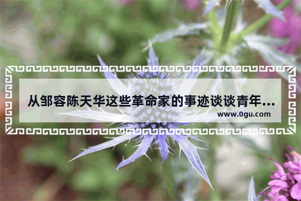 从邹容陈天华这些革命家的事迹谈谈青年一代应当承担的社会历史使命