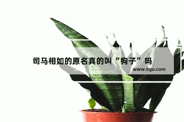 司马相如的原名真的叫“狗子”吗