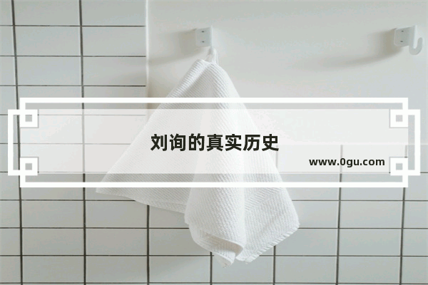 刘询的真实历史