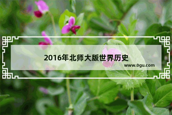 2016年北师大版世界历史