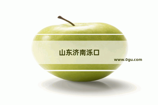 山东济南泺口