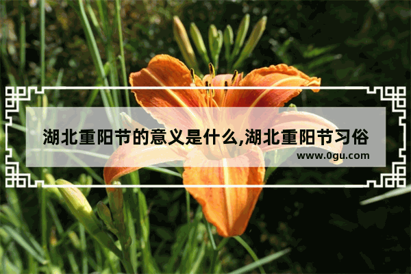 湖北重阳节的意义是什么,湖北重阳节习俗