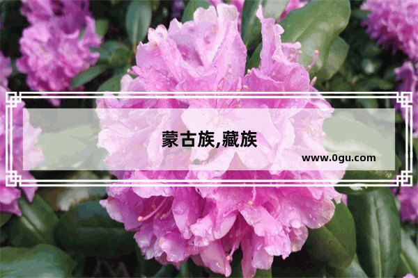 蒙古族,藏族