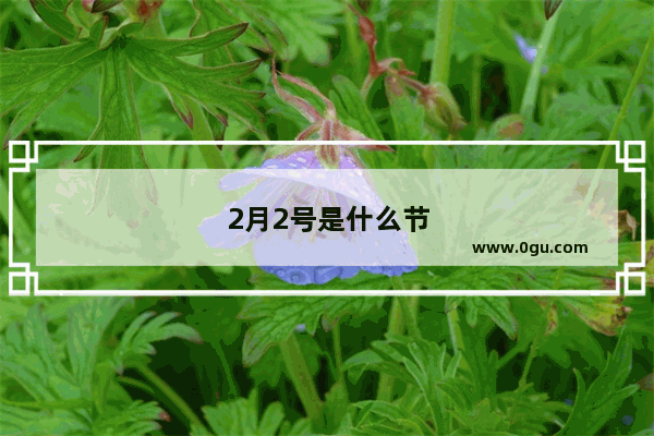 2月2号是什么节