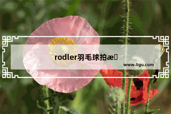 rodler羽毛球拍怎么样