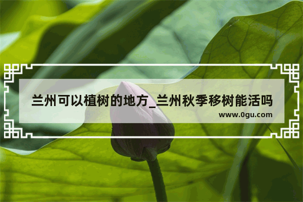 兰州可以植树的地方_兰州秋季移树能活吗