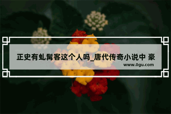 正史有虬髯客这个人吗_唐代传奇小说中 豪侠题材最杰出的代表作是《虬髯客传》