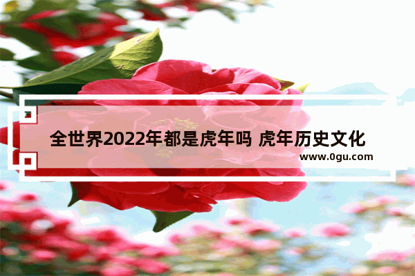 全世界2022年都是虎年吗 虎年历史文化