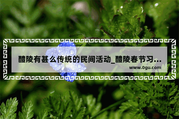 醴陵有甚么传统的民间活动_醴陵春节习俗有哪些?100个字以上