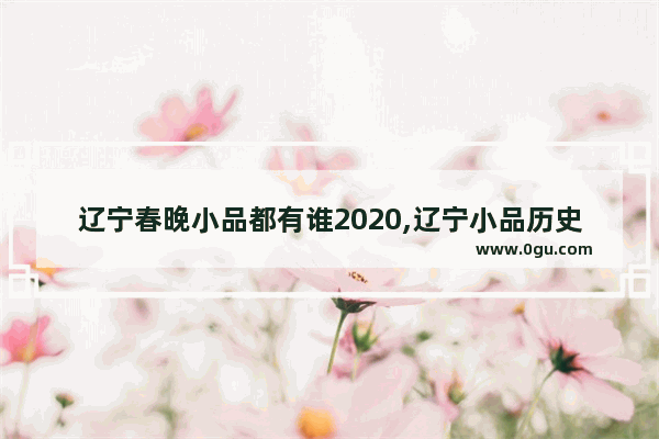 辽宁春晚小品都有谁2020,辽宁小品历史人物